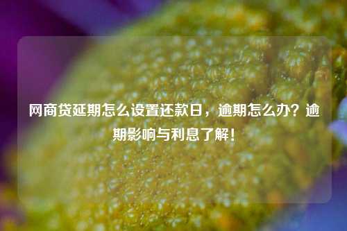 网商贷延期怎么设置还款日，逾期怎么办？逾期影响与利息了解！