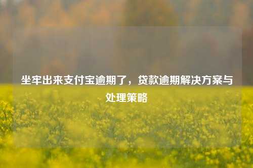 坐牢出来支付宝逾期了，贷款逾期解决方案与处理策略