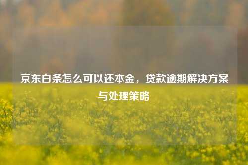 京东白条怎么可以还本金，贷款逾期解决方案与处理策略