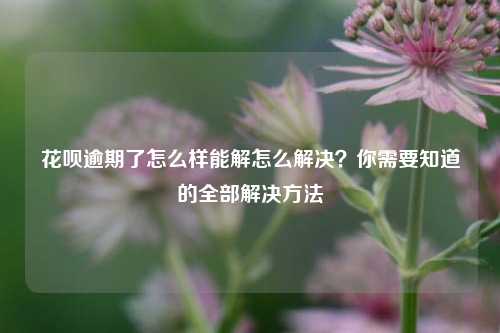 花呗逾期了怎么样能解怎么解决？你需要知道的全部解决方法