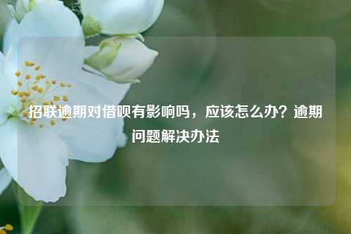 招联逾期对借呗有影响吗，应该怎么办？逾期问题解决办法