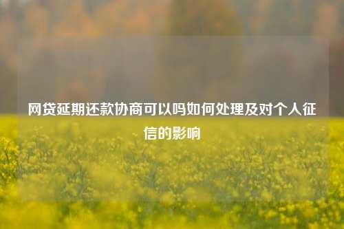 网贷延期还款协商可以吗如何处理及对个人征信的影响