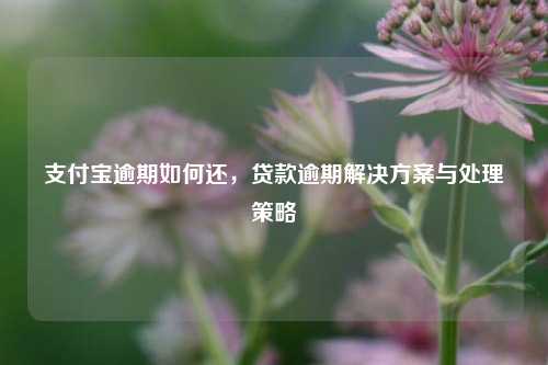 支付宝逾期如何还，贷款逾期解决方案与处理策略