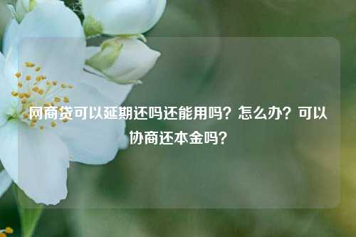 网商贷可以延期还吗还能用吗？怎么办？可以协商还本金吗？