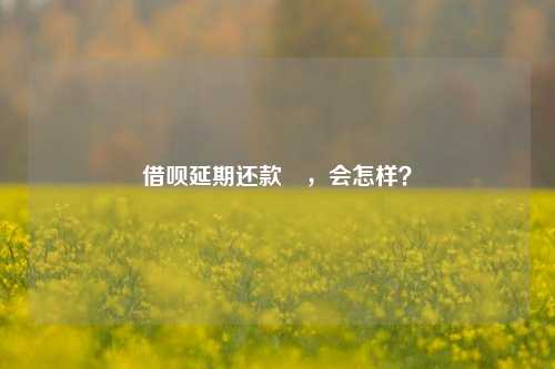 借呗延期还款劵，会怎样？