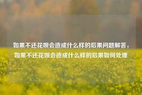 如果不还花呗会造成什么样的后果问题解答，如果不还花呗会造成什么样的后果如何处理