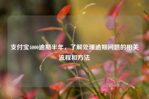 支付宝4000逾期半年，了解处理逾期问题的相关流程和方法