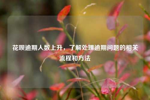 花呗逾期人数上升，了解处理逾期问题的相关流程和方法