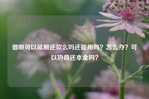 借呗可以延期还款么吗还能用吗？怎么办？可以协商还本金吗？