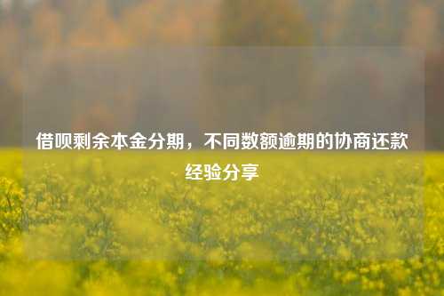 借呗剩余本金分期，不同数额逾期的协商还款经验分享