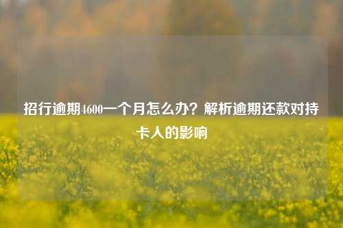 招行逾期4600一个月怎么办？解析逾期还款对持卡人的影响