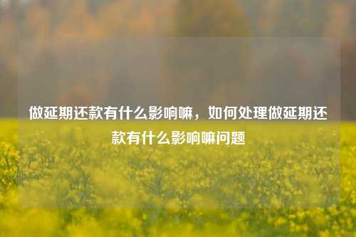 做延期还款有什么影响嘛，如何处理做延期还款有什么影响嘛问题