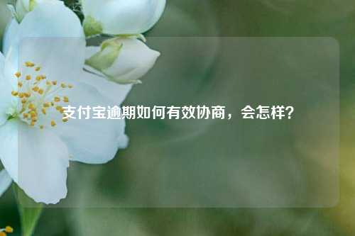 支付宝逾期如何有效协商，会怎样？