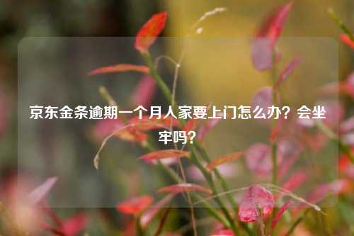 京东金条逾期一个月人家要上门怎么办？会坐牢吗？