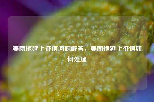 美团拖延上征信问题解答，美团拖延上征信如何处理