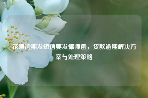 花呗逾期发短信要发律师函，贷款逾期解决方案与处理策略