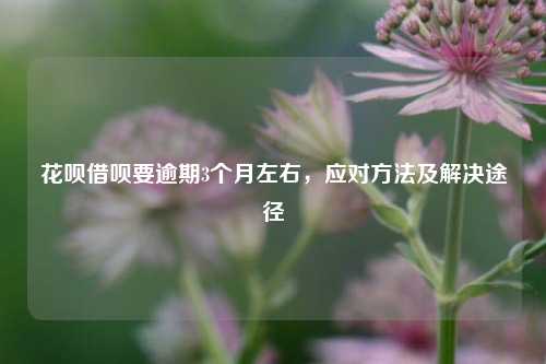 花呗借呗要逾期3个月左右，应对方法及解决途径