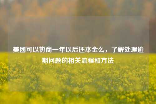 美团可以协商一年以后还本金么，了解处理逾期问题的相关流程和方法