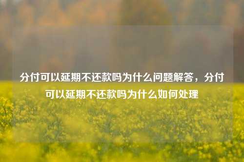 分付可以延期不还款吗为什么问题解答，分付可以延期不还款吗为什么如何处理