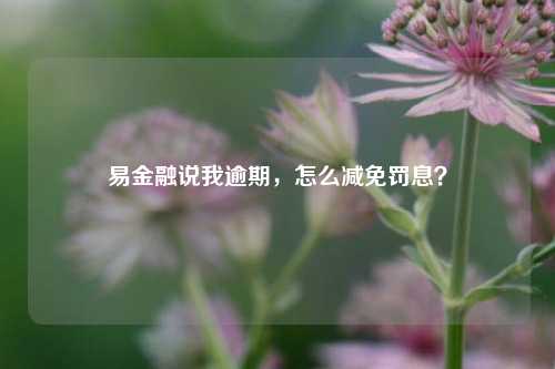 易金融说我逾期，怎么减免罚息？