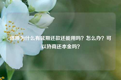 借呗为什么有延期还款还能用吗？怎么办？可以协商还本金吗？