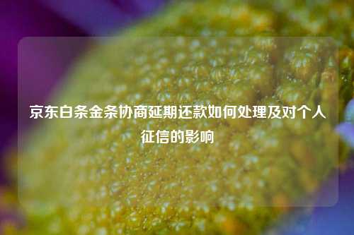 京东白条金条协商延期还款如何处理及对个人征信的影响