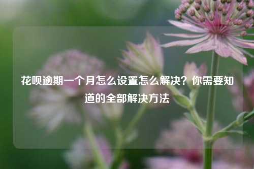 花呗逾期一个月怎么设置怎么解决？你需要知道的全部解决方法