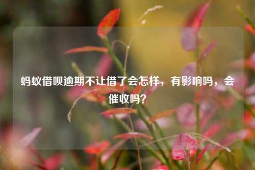 蚂蚁借呗逾期不让借了会怎样，有影响吗，会催收吗？