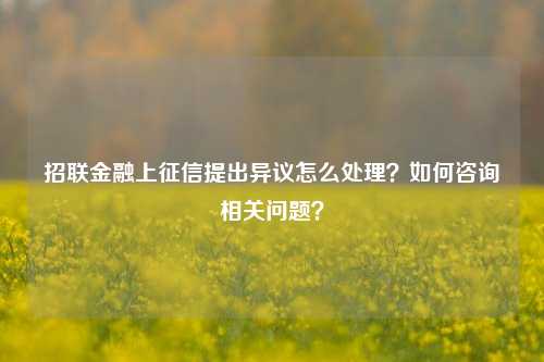 招联金融上征信提出异议怎么处理？如何咨询相关问题？