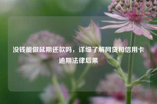 没钱能做延期还款吗，详细了解网贷和信用卡逾期法律后果