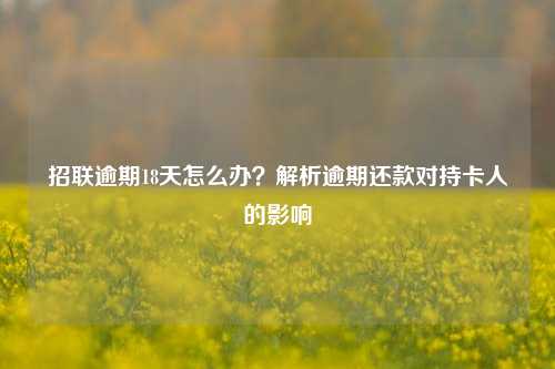 招联逾期18天怎么办？解析逾期还款对持卡人的影响