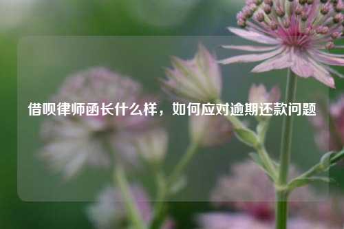 借呗律师函长什么样，如何应对逾期还款问题