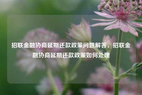 招联金融协商延期还款政策问题解答，招联金融协商延期还款政策如何处理