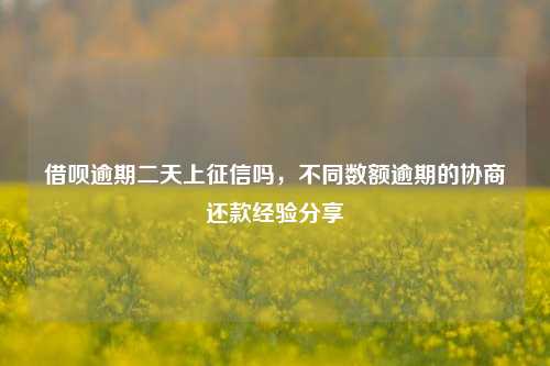 借呗逾期二天上征信吗，不同数额逾期的协商还款经验分享