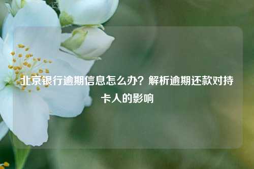 北京银行逾期信息怎么办？解析逾期还款对持卡人的影响