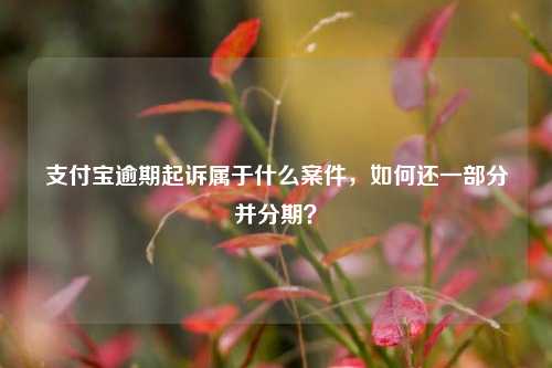 支付宝逾期起诉属于什么案件，如何还一部分并分期？