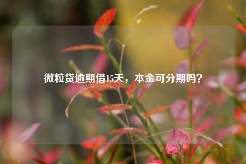 微粒贷逾期借15天，本金可分期吗？