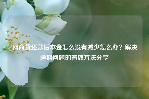 网商贷还款后本金怎么没有减少怎么办？解决逾期问题的有效方法分享