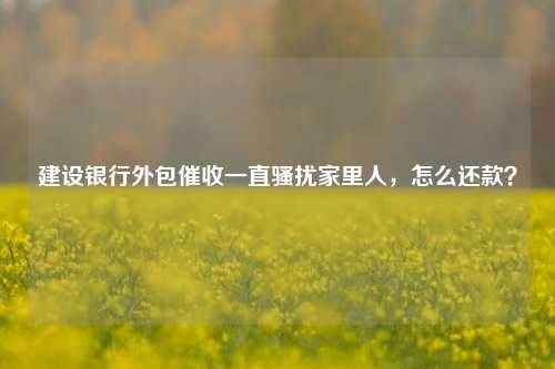 建设银行外包催收一直骚扰家里人，怎么还款？