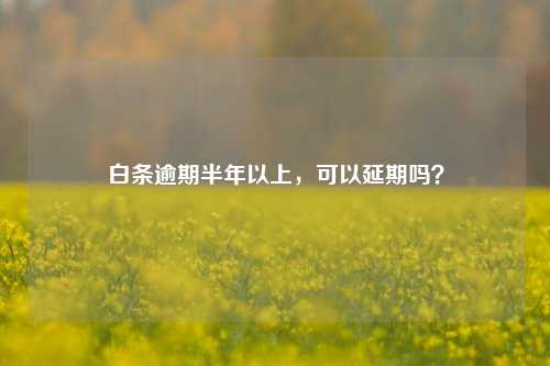 白条逾期半年以上，可以延期吗？