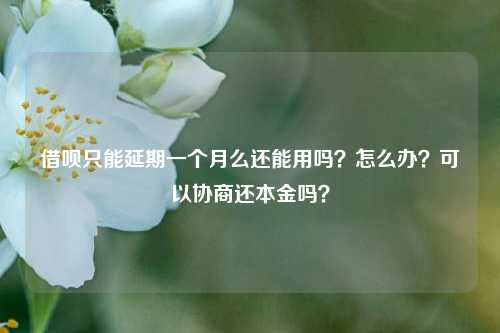 借呗只能延期一个月么还能用吗？怎么办？可以协商还本金吗？