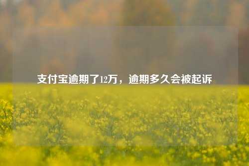 支付宝逾期了12万，逾期多久会被起诉