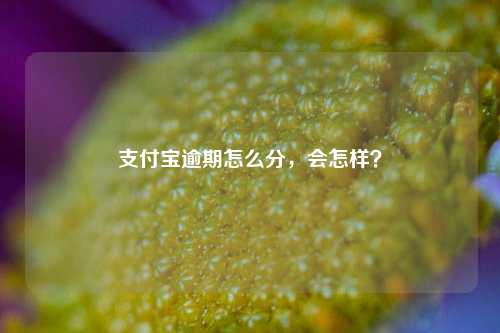 支付宝逾期怎么分，会怎样？