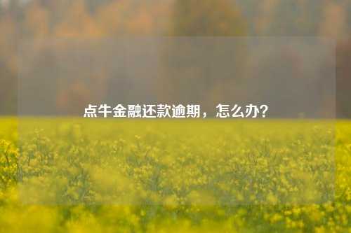 点牛金融还款逾期，怎么办？