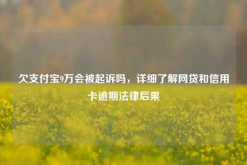 欠支付宝9万会被起诉吗，详细了解网贷和信用卡逾期法律后果