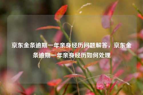 京东金条逾期一年亲身经历问题解答，京东金条逾期一年亲身经历如何处理