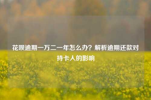 花呗逾期一万二一年怎么办？解析逾期还款对持卡人的影响