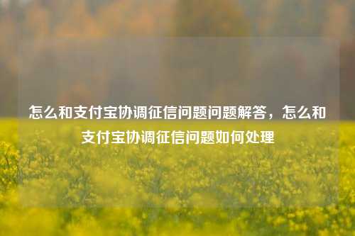 怎么和支付宝协调征信问题问题解答，怎么和支付宝协调征信问题如何处理