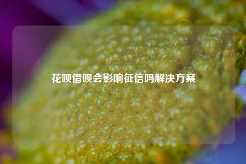 花呗借呗会影响征信吗解决方案