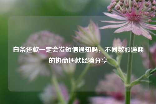 白条还款一定会发短信通知吗，不同数额逾期的协商还款经验分享